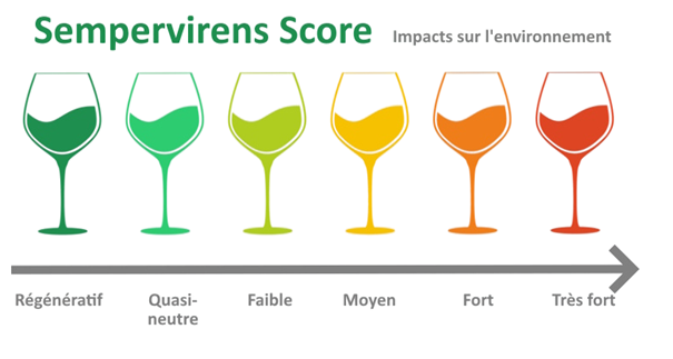 Sempervirens Score evolutionSempervirens Score evolution